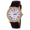 Часы Frederique Constant Persuasion FC-303M4P5