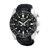 Часы Seiko Ananta SRQ005J1