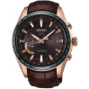 Часы Seiko Astron SSE096J1