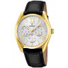 Часы FESTINA F16753/1