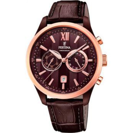 FESTINA F16999/1