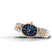 Часы Frederique Constant FC-200RMPN2V2B