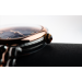 Часы Frederique Constant FC-200RMPN2V2B