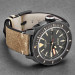 Часы Alpina Seastrong Diver AL525LGG4TV6